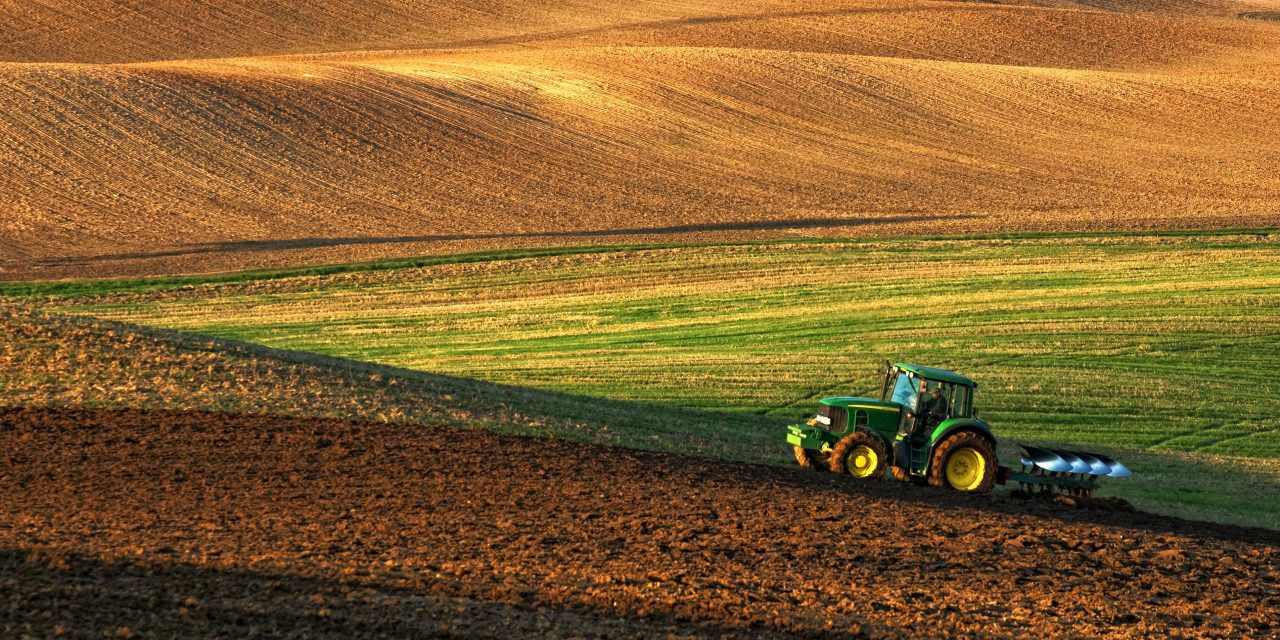 Agricoltura verso un nuovo calo in valore anche nel 2023
