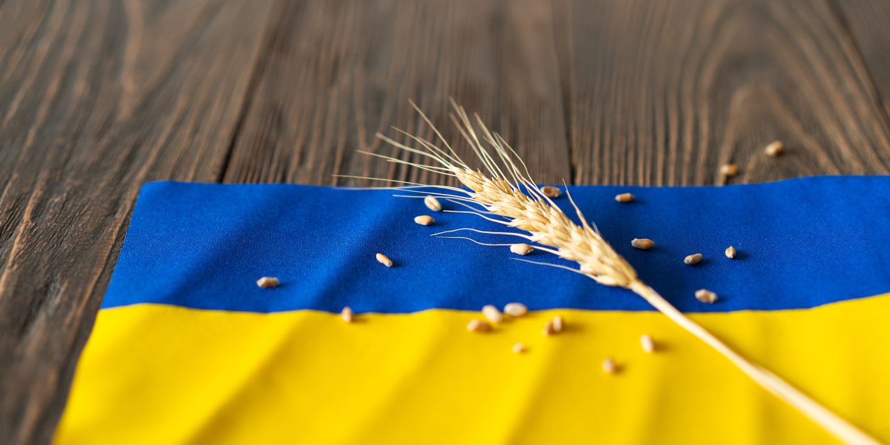 Ucraina, la guerra cambia la geografia dell’export: ora l’UE assorbe quasi il 60% dell’agroalimentare di Kiev