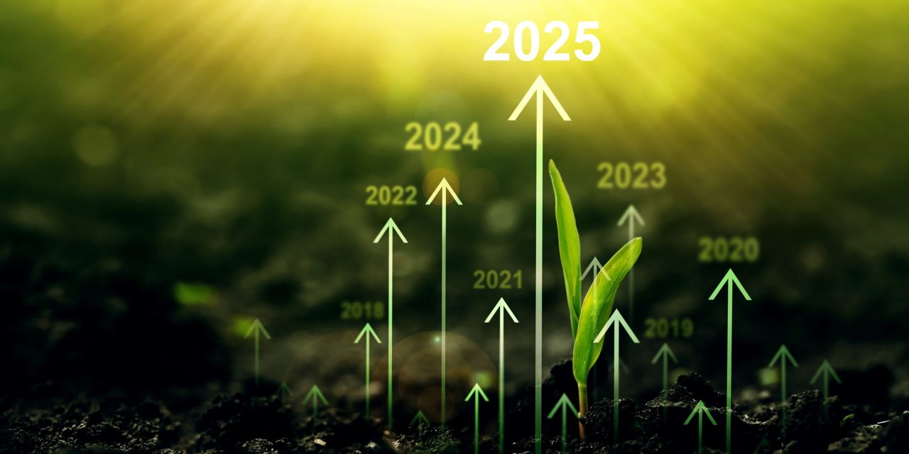 L’agroalimentare italiano chiude il 2024 con performance positive: export in crescita e filiere in ripresa
