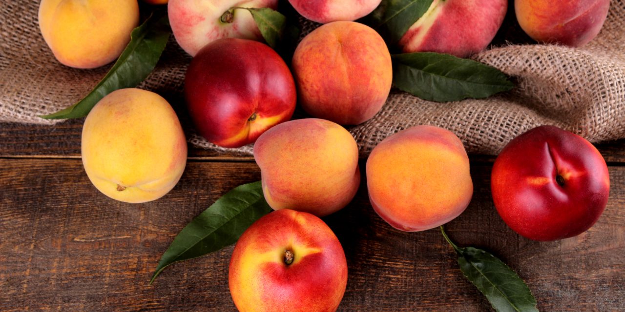 Frutta estiva: l’Italia consolida la sua posizione nel mercato europeo