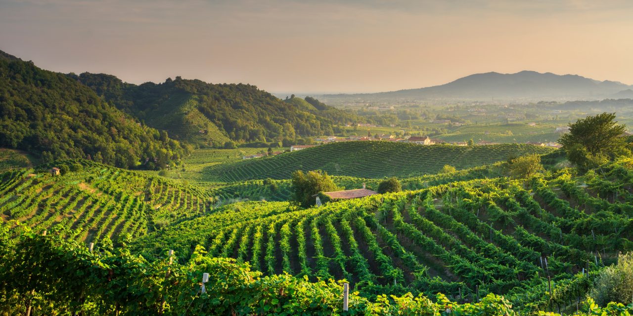 L’agroalimentare italiano corre più della media UE: qualità, investimenti e export spingono la filiera. Ma sul 2025 pesano dazi USA e incertezze geopolitiche